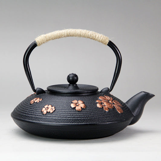 Vibrant Cast Iron Teapots